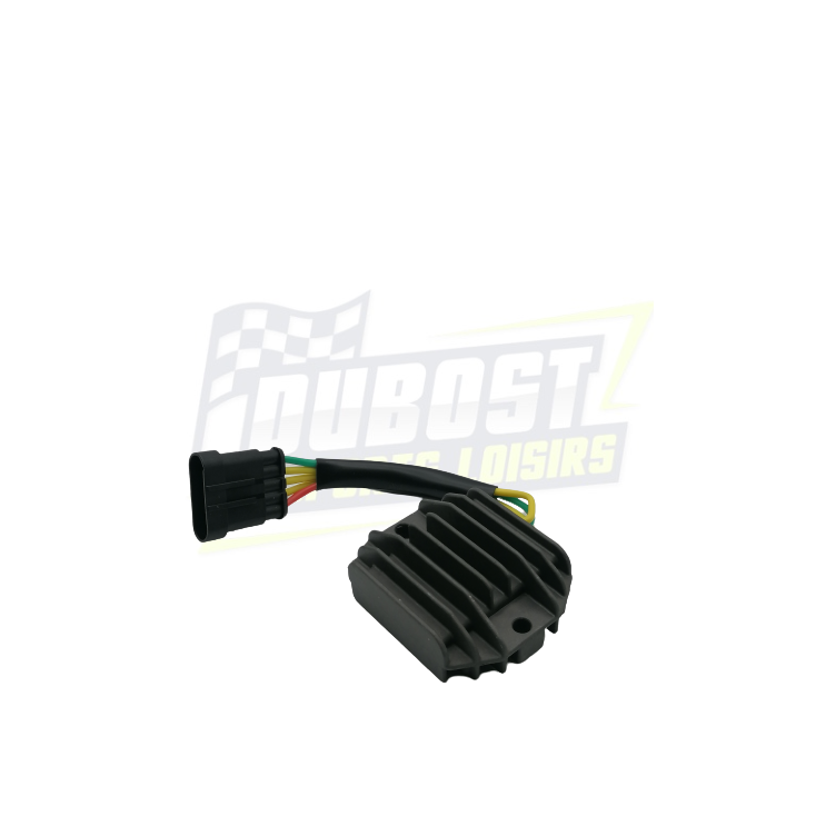 REGULATEUR END EVO REGULATEUR END EVO