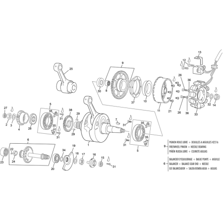 Vilebrequin, stator SHERCO...