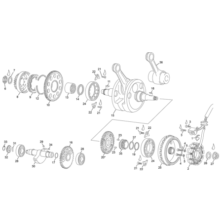 Vilebrequin, stator SHERCO...