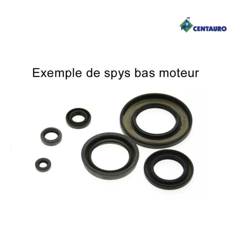 Jeu de joints spy bas moteur Sherco 50 SM/SE AM6