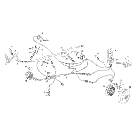 FAISCEAU ÉLECTRIQUE SHERCO...