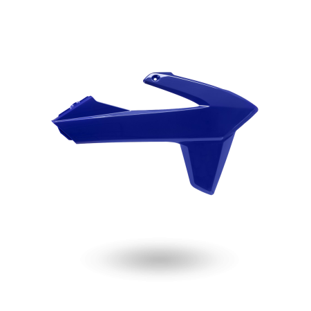 OUIE DROITE END BLEUE NUE 2025 